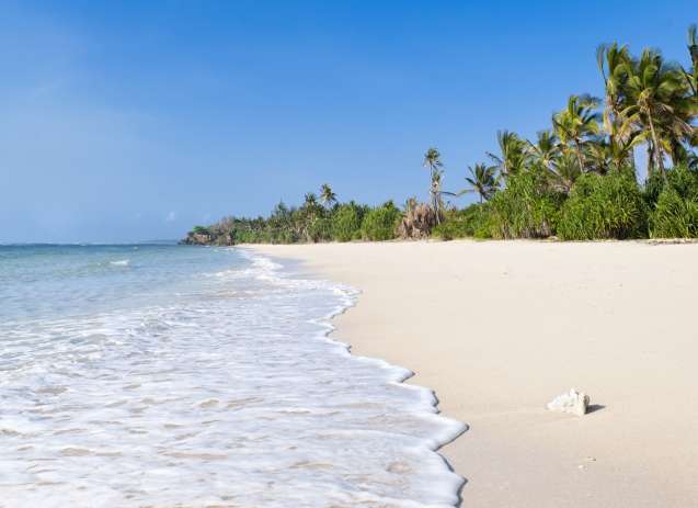 Idyllic beach at msambweni, near diani on the kenyan coast
