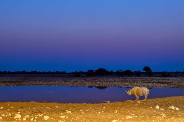 Okaukuejo waterhole at night in etosha national park