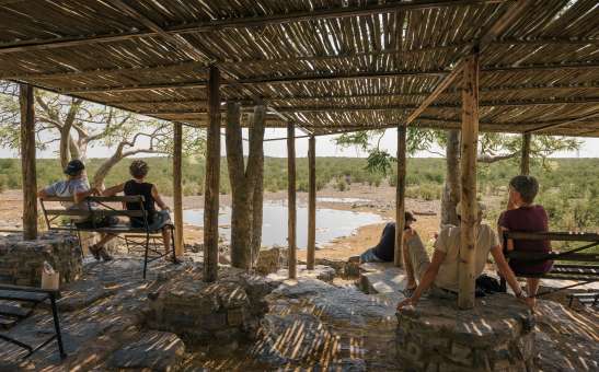 Etosha Waterholes Guide: Best Spots, Seasons & Safari Tips