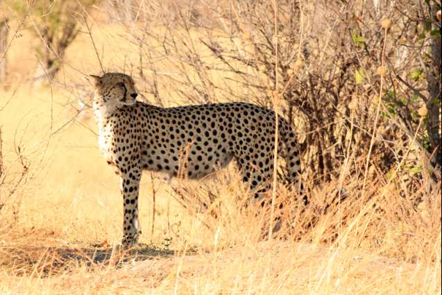 Hwange National Park