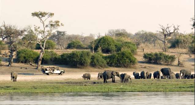 Dry season is the best time to visit Chobe