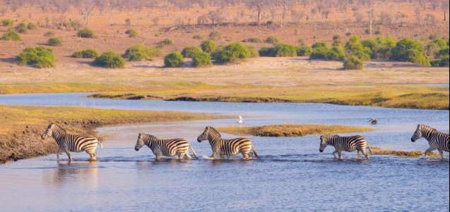 Chobe river crossing Botswana