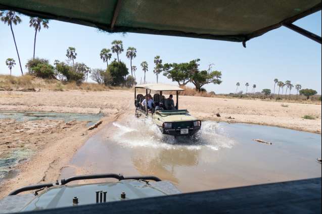Big 5 safari in East Africa