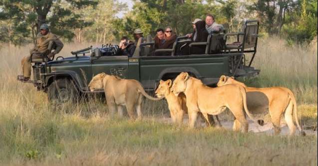 Budget big 5 safari Kruger