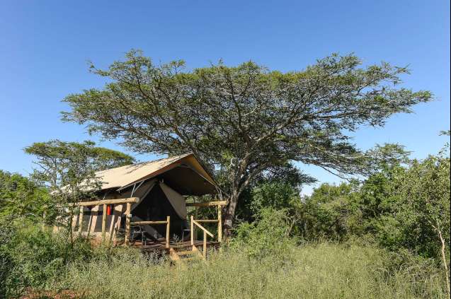 Budget safari options Hluhluwe