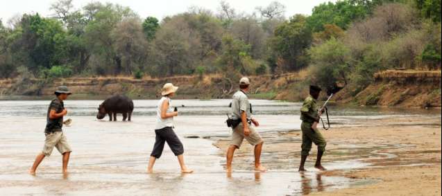 South Luangwa on walking safari