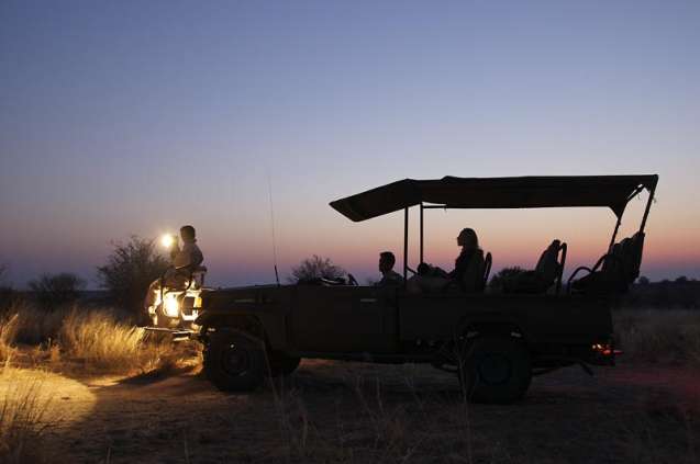 Headlamp at night on safari