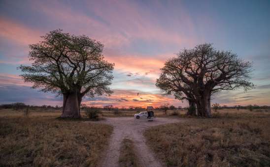Remote camping around Nxai Pan Botswana safari