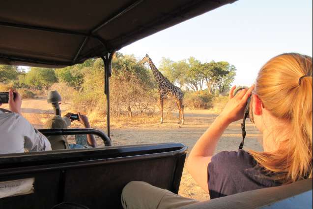 Zambia South Luangwa safari