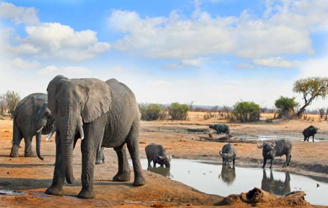 Hwange National Park sits on a popular overland route that includes Zimbabwe Zambia and Botswana