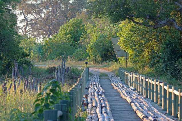 Moremi overland safari