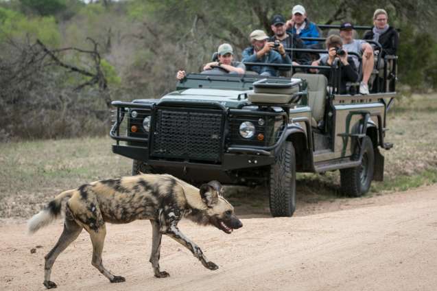 Overland safaris include game drives in the best safari destinations