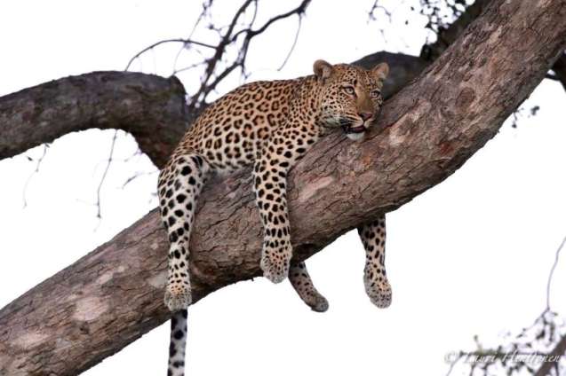 budget kruger private reserves
