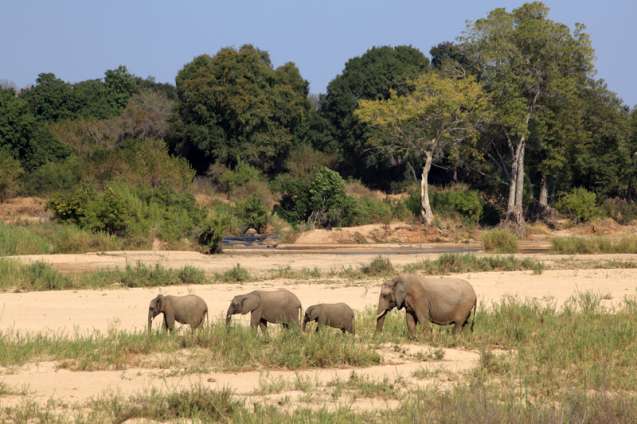 Harsh African sun requires serious consideration on safari