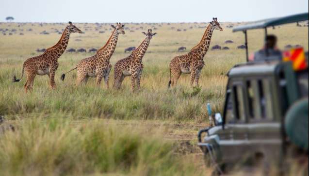 Essential medications for africa travel