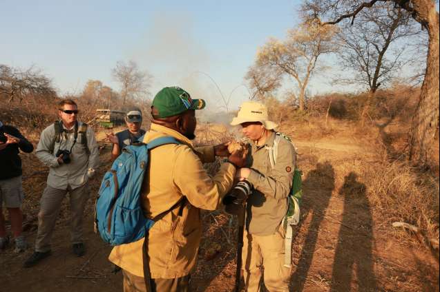 Traditional medcine walking safari in Kruger