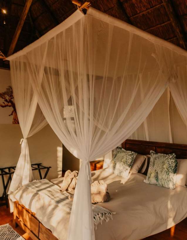 Mosquito net insect repellent for african travel