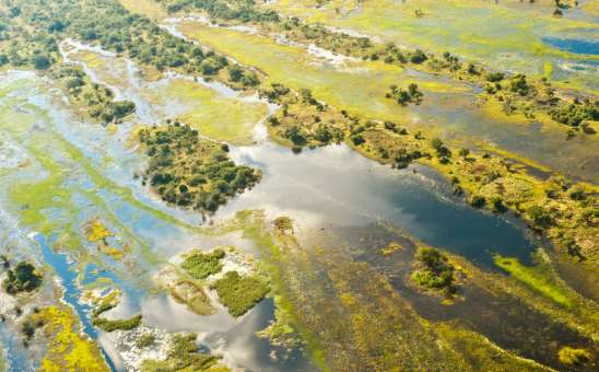 Okavango Delta wetland landscape