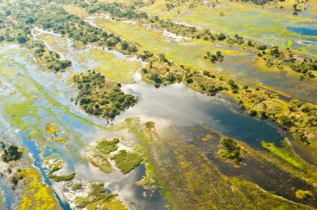 Okavango Delta wetland landscape