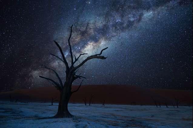 Namibia night sky in winter safari