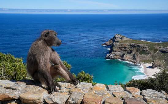 Cape town overlanding Africa