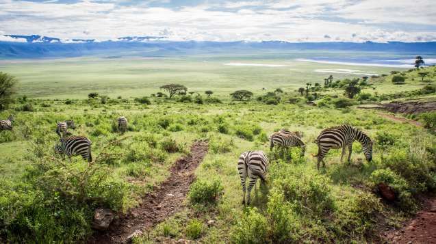 Ngorongoro Crater Tanzania overland