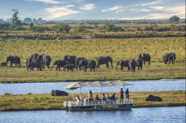 Big 5 safari Chobe Botswana