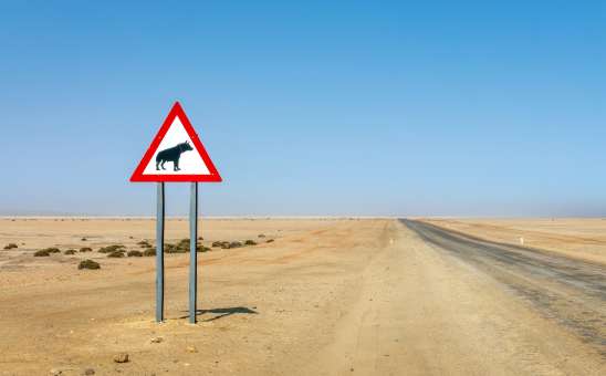 Hyena road sign in Namibia