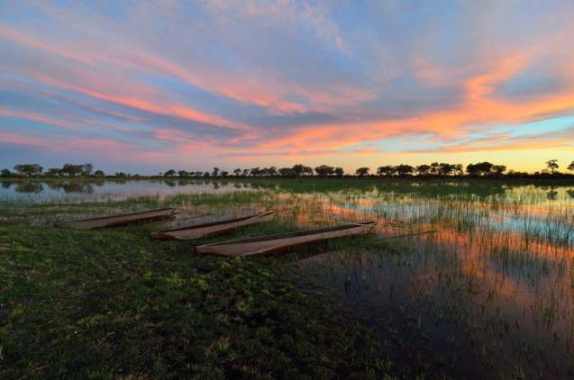 Okavango Delta scenic makoro trips