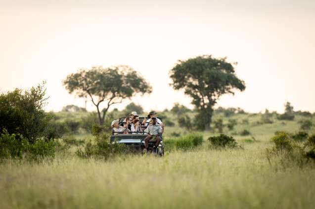 Game drives 