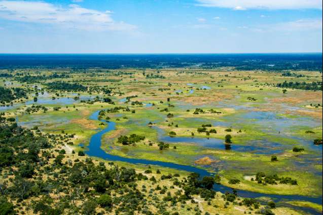 Scenic Okavango Delta Flights