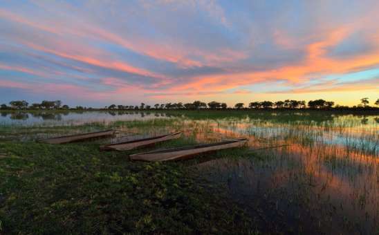 The Okavango Delta