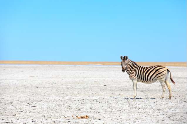 Makgadikgadi Pan Botswana