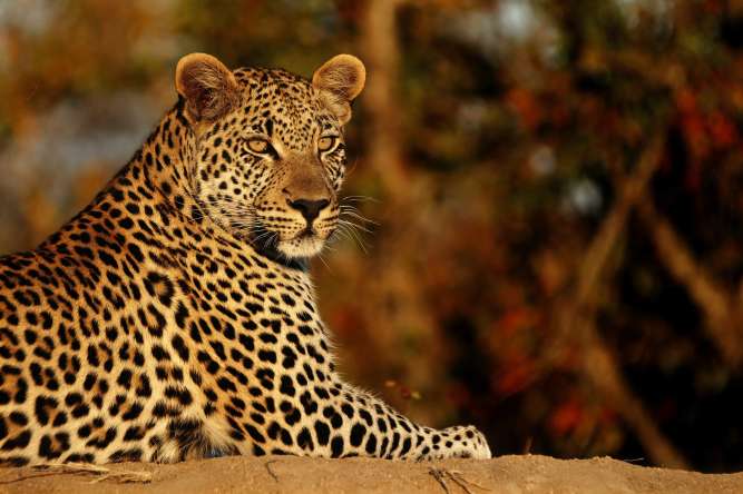 Big 5 private nature reserve
