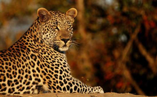 Big 5 private nature reserve