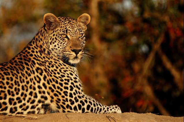 Big 5 private nature reserve