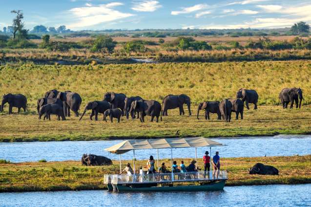Safari activities Botswana