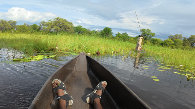 Safari highlight Khwai River mokoro