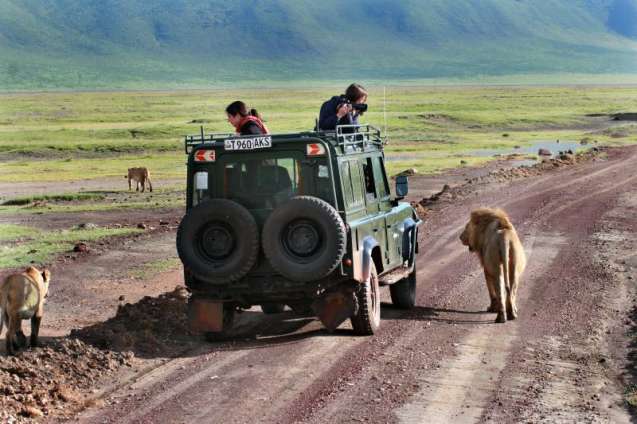 Safari in Ngorongoro Crater, Tanzania