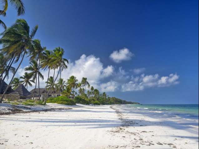 Tanzania Zanzibar Island beach break