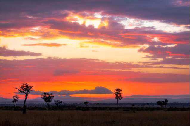 Sunset in the masai mara kenya