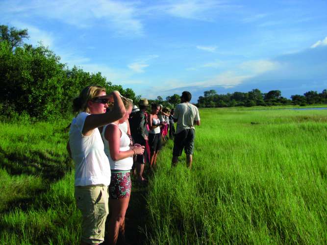 Overland safari group walking in okavango delta