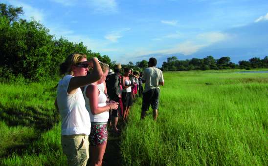 What Is It Really Like Travelling With Strangers on an Overland Safari?