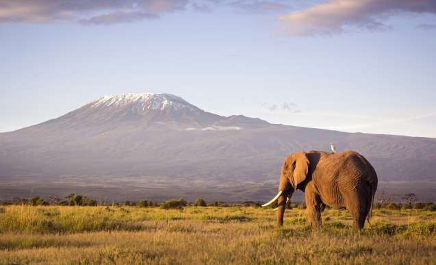 Mount Kilimanjaro seen from amboseli in Kenyamboseli