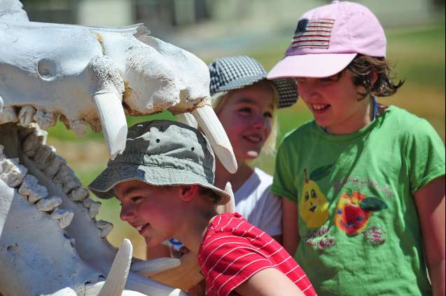 Sanbona Wildlife Reserve South Africa kids activities