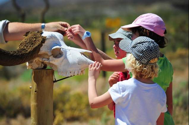 Sanbona family adventure experience