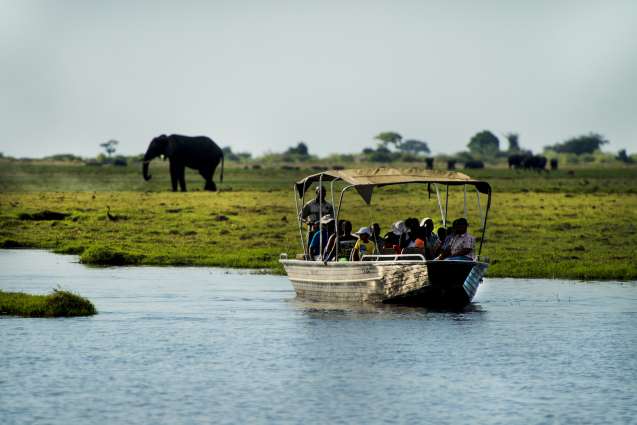 Chobe boat cruise with overland group