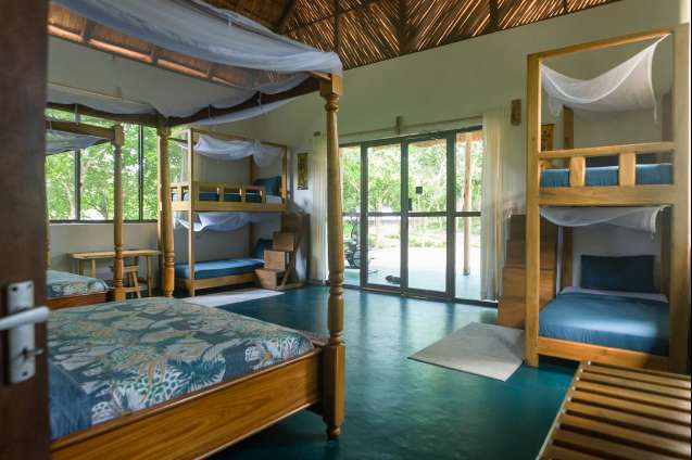 Large Family suite bedroom with bunks