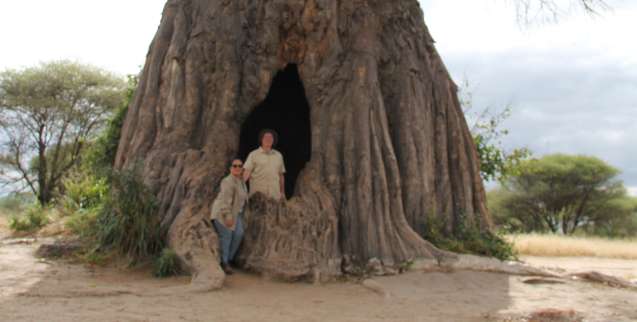 Baobab tree Kenya safari