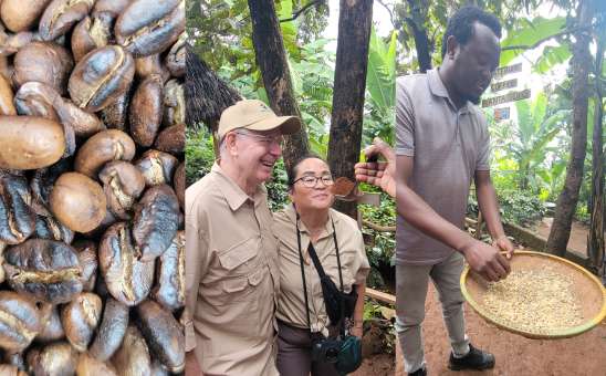 Kenya Materuni Coffee Plantation experience